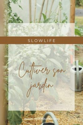 slowlife cultiver son jardin avec des enfants
