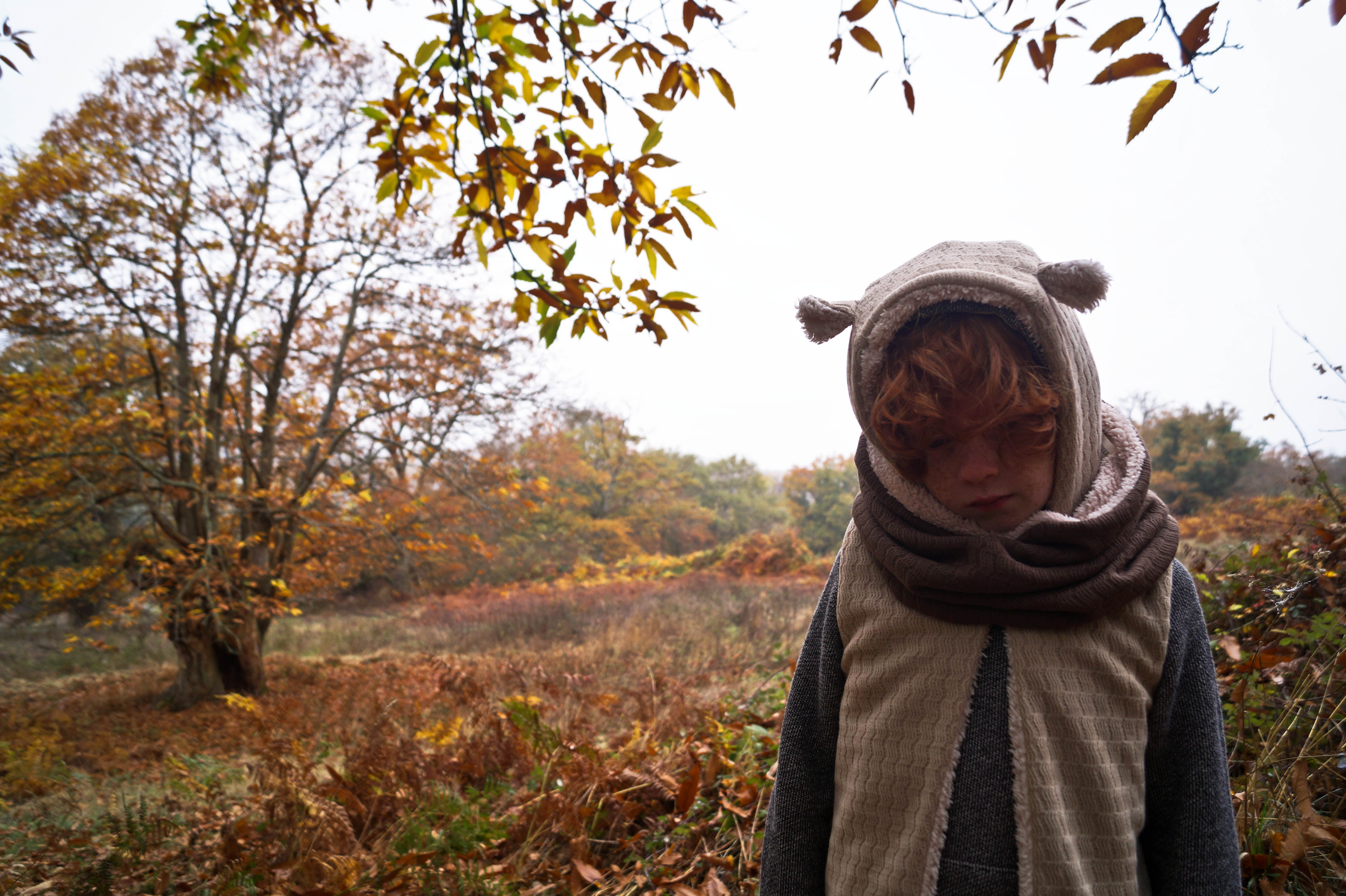 Shooting automne Minabulle garçon raleur