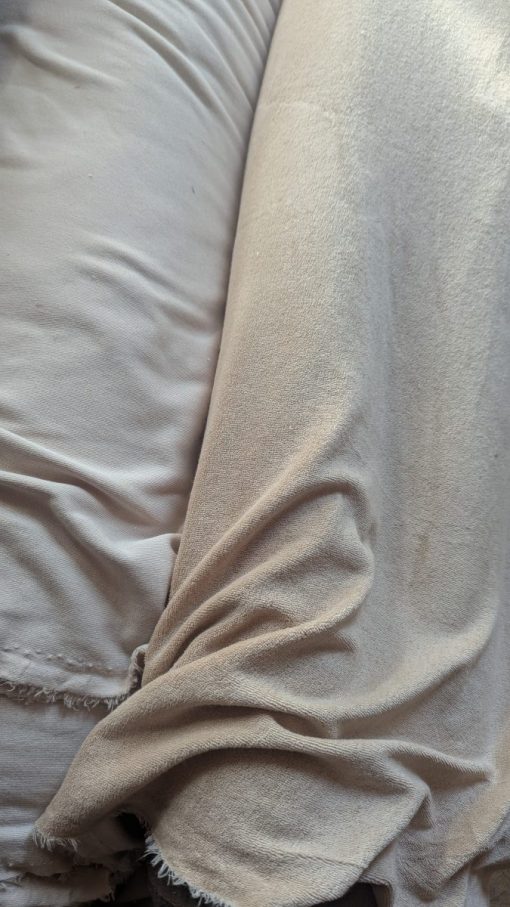 PXL_20251007_085009418.MP