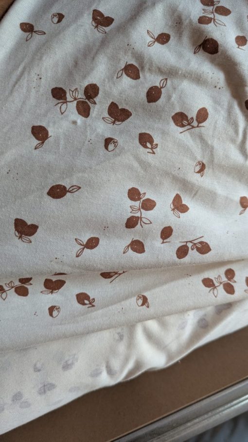 PXL_20251007_090051809.MP